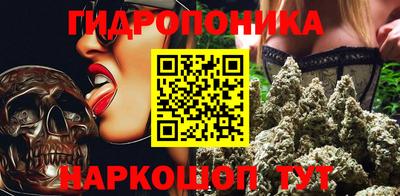 ешки Новодвинск