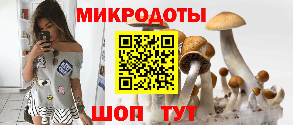 Псилоцибиновые грибы Magic Shrooms  купить закладку  Вход с VPN  Химки  Галлюциногенные грибы Magic Shrooms 